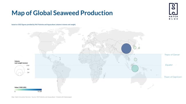 A map of global seaweed production