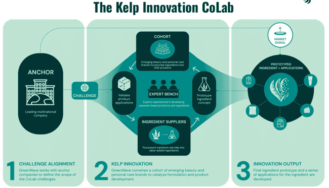 A diagram explaining GreenWaves Kelp CoLab.