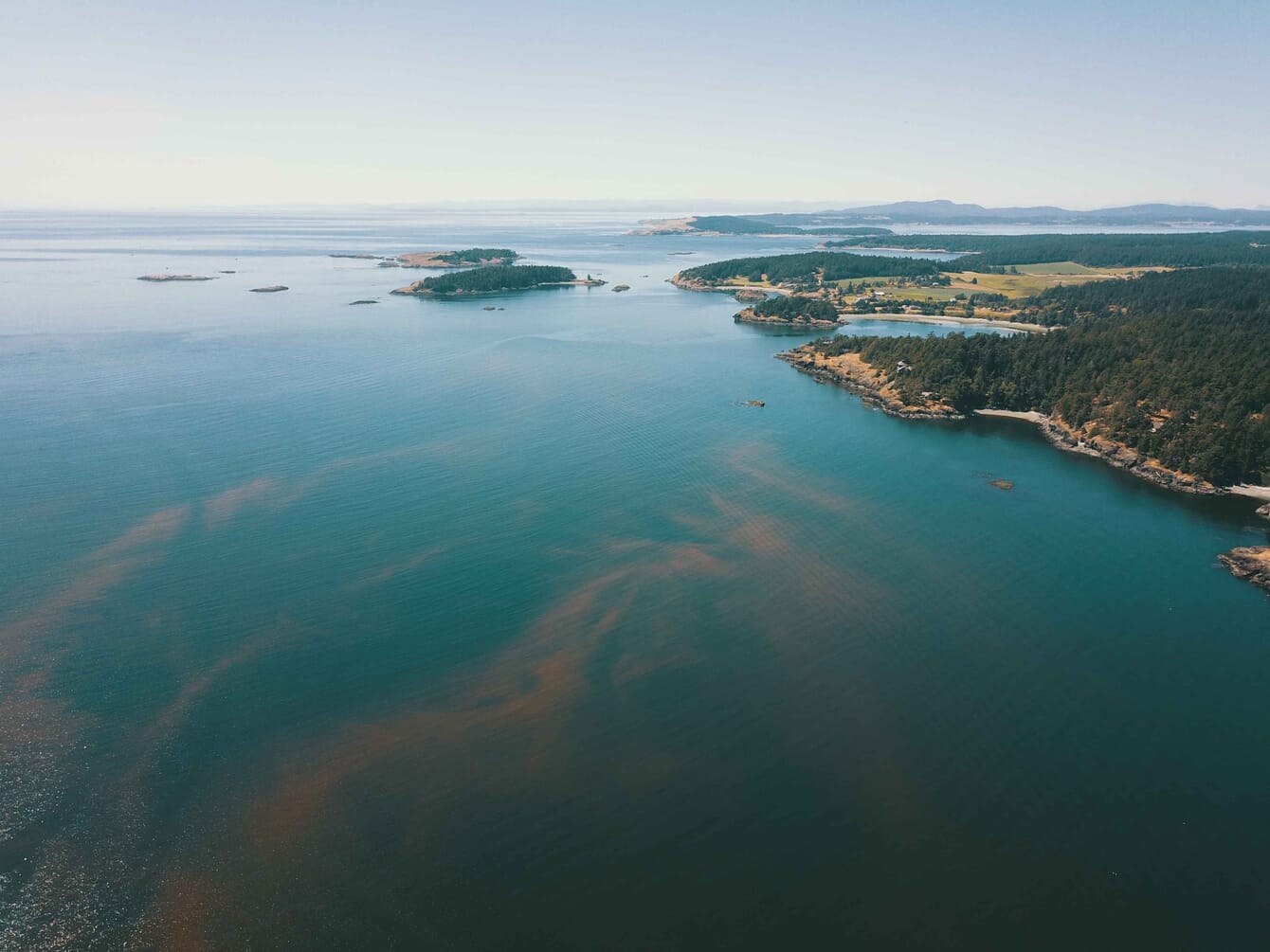 Aerial footage of an algal bloom near the coast.