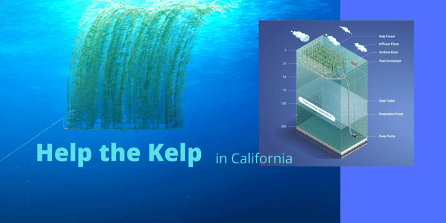 diagram of a seaweed growing system