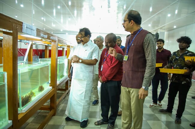 A group of men looking into some fish tanks.