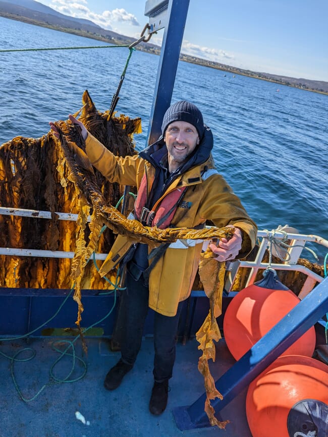 A man on a boat holding up rope-grown seaweed.