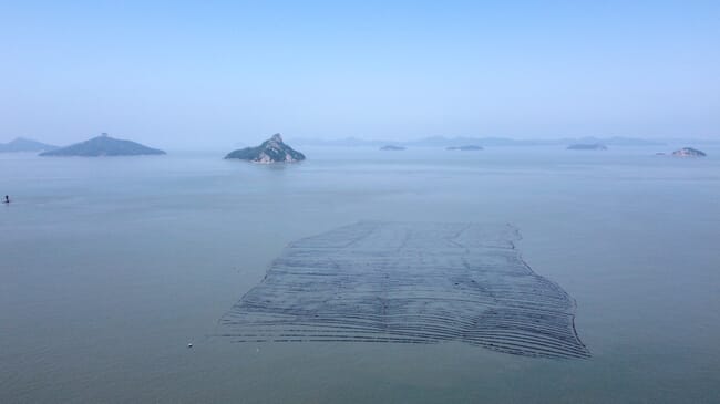 Aerial view of a seaweed farm.