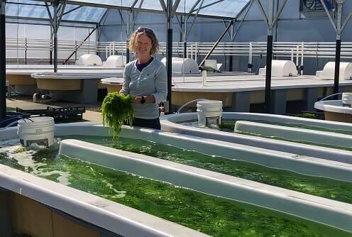 Aquaculture senior research fellow, Dr Marie Magnusson...