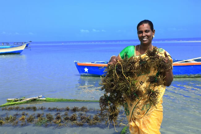 a lady holding up seaweed on the sea shore