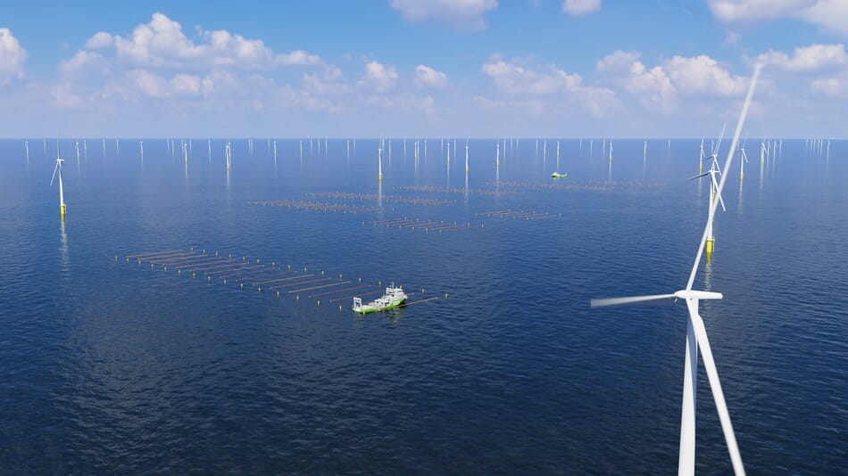 First installation phase complete for North Sea Farm 1 | The Fish Site