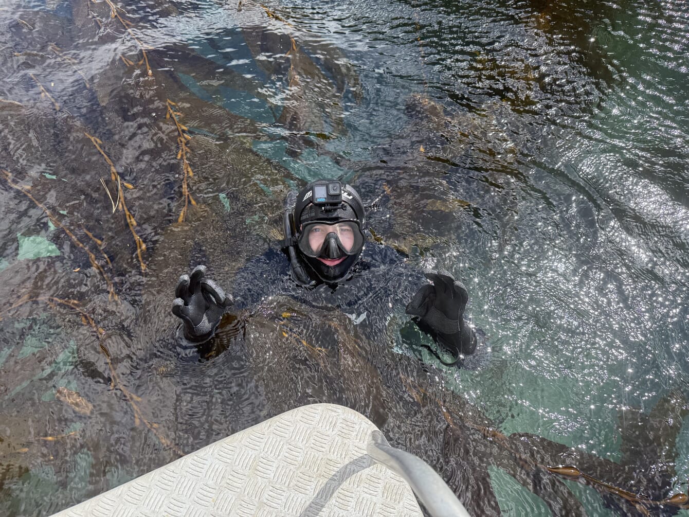 A young seaweed farmer diving inside a seaweed farm in New Zealand.