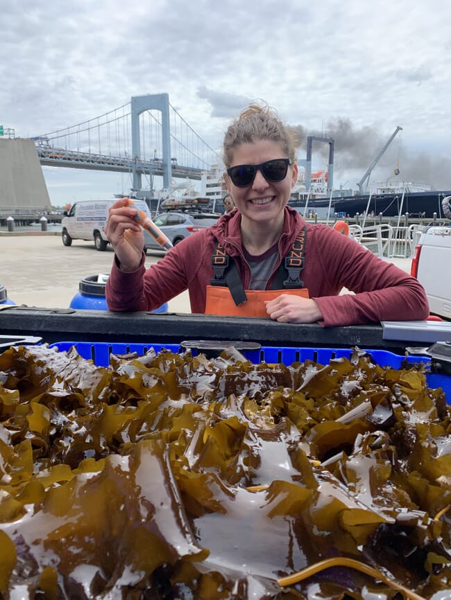 A woman standing behind a container of seaweed.