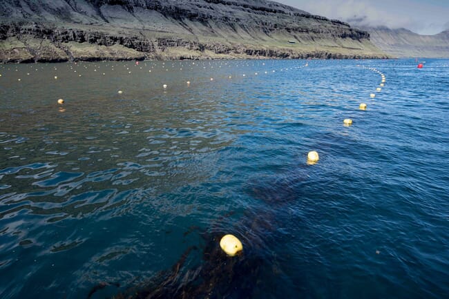 Buoys off the coast