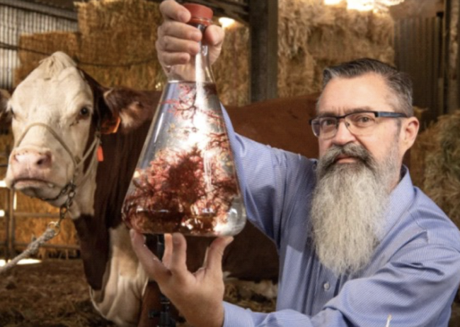 A man holding up a container of seaweed in a cattle shed.