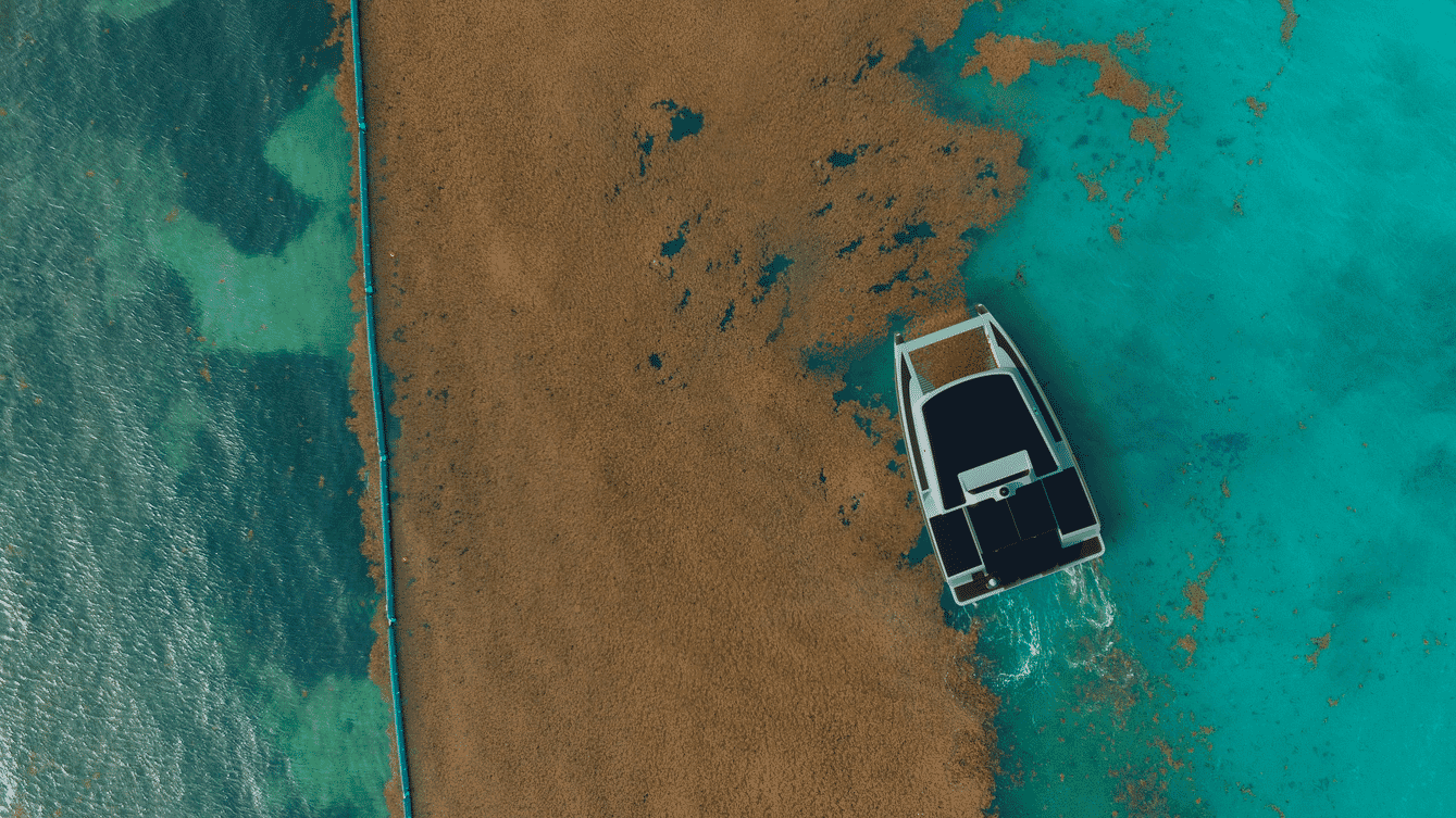 Vista aérea de uma embarcação autônoma colhendo algas marinhas.