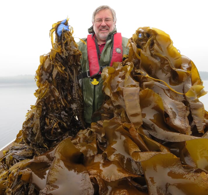man holding two ropes of kelp