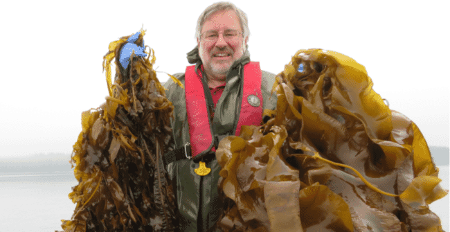 a man holding large bunches of seaweed