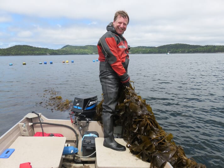 Steve Backman, owner of Magellan Aqua Farms, holding a line of sugar kelp  at a site in the Bay of Fundy, New Brunswick, Canada