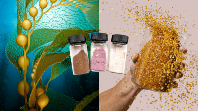 Three jars of powder in front of a backdrop showing seaweed and a beaker being shaken by a hand.