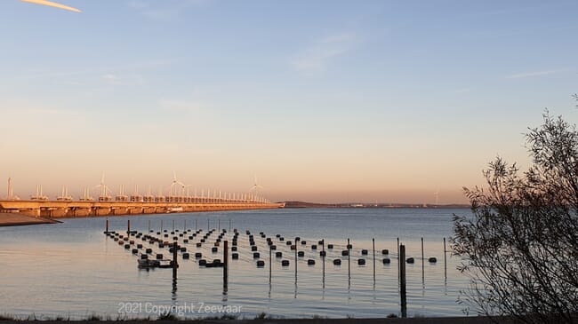 a seaweed farm