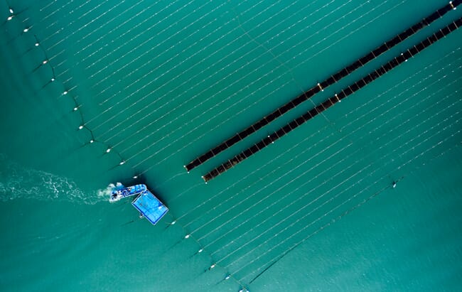 Vista aérea da fazenda de algas marinhas e do barco