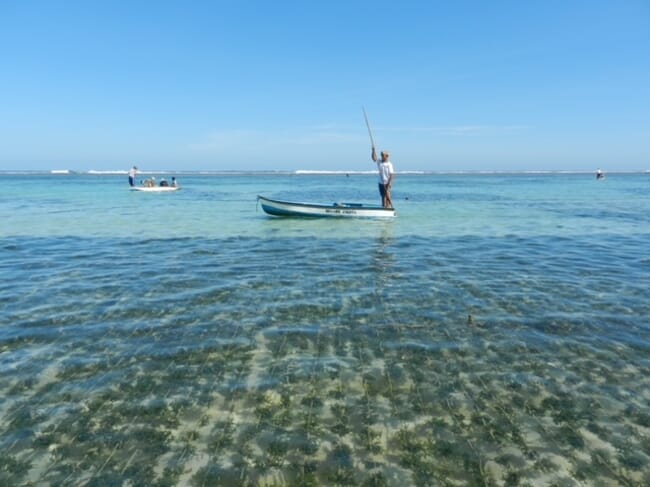 person rowing a canoe next to seaweed lines