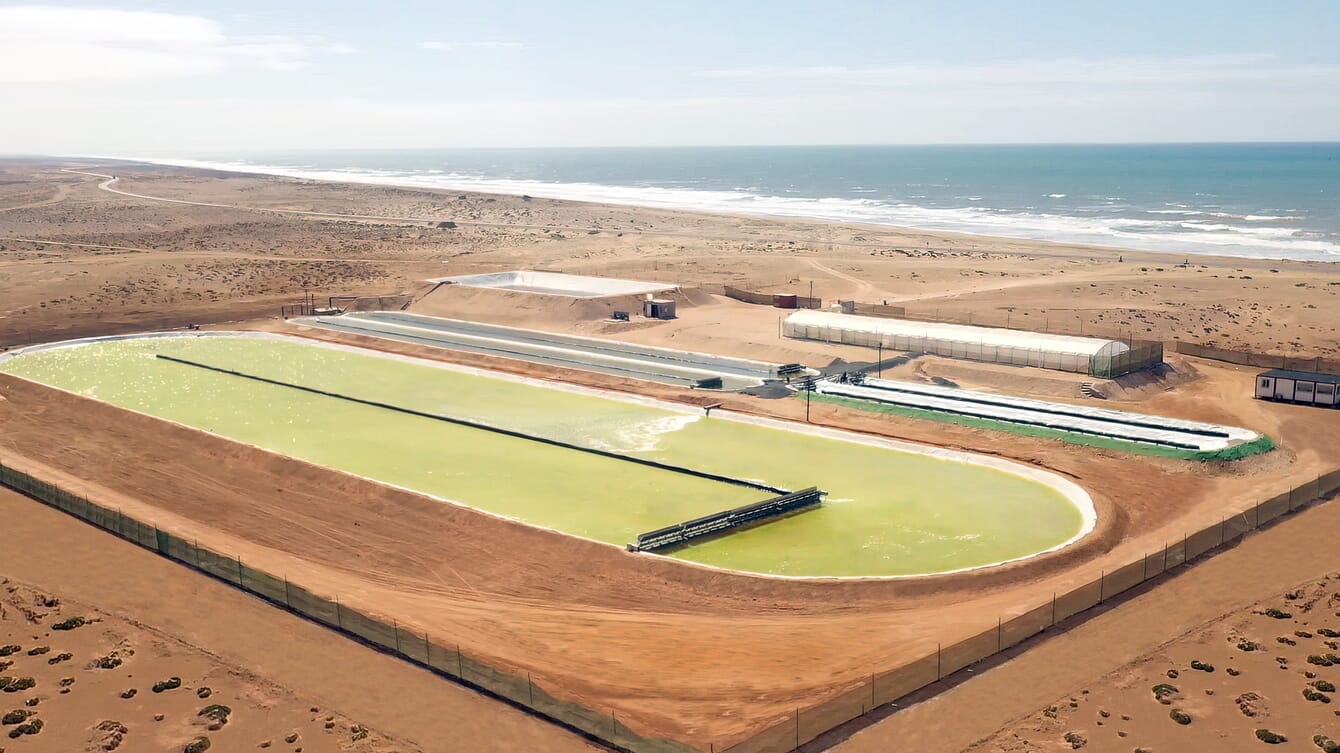 Aerial view of a pond-based algae farm in a coastal desert