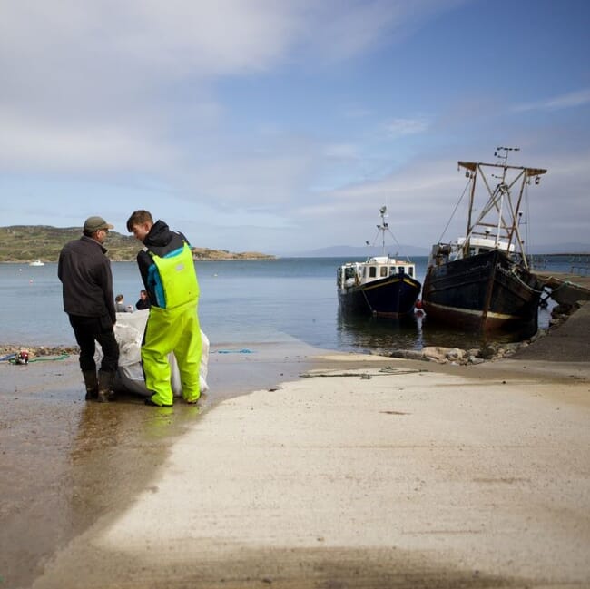 fishing vessels at a dock