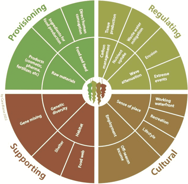 a circular diagram