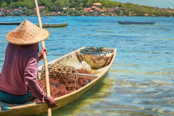 Seaweed farmers in canoes