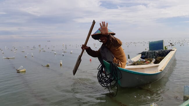 Seaweed farmer on a boat in Indonesia