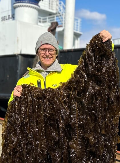 A man holding up seaweed.