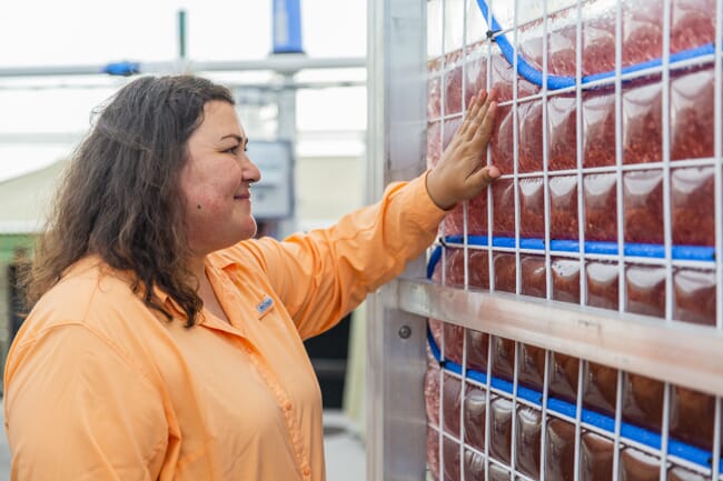 Woman looking at seaweed processing