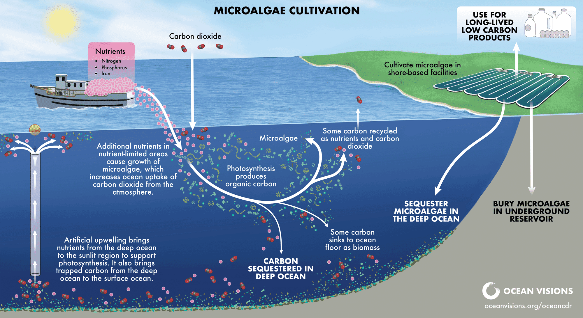 Startup Publishes Digital Roadmap For Microalgae Carbon Sequestration ...