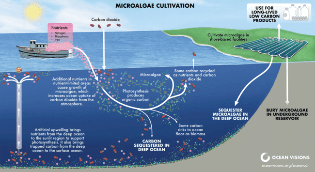 infographic