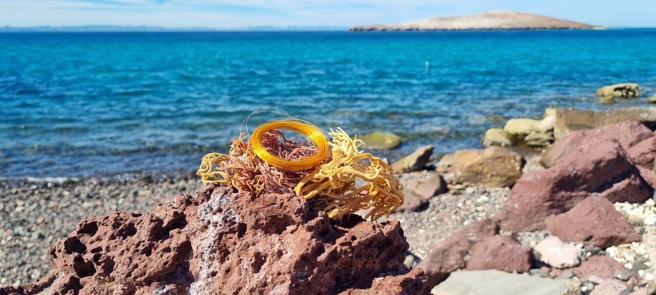 A roll of twine on a rocky shoreline