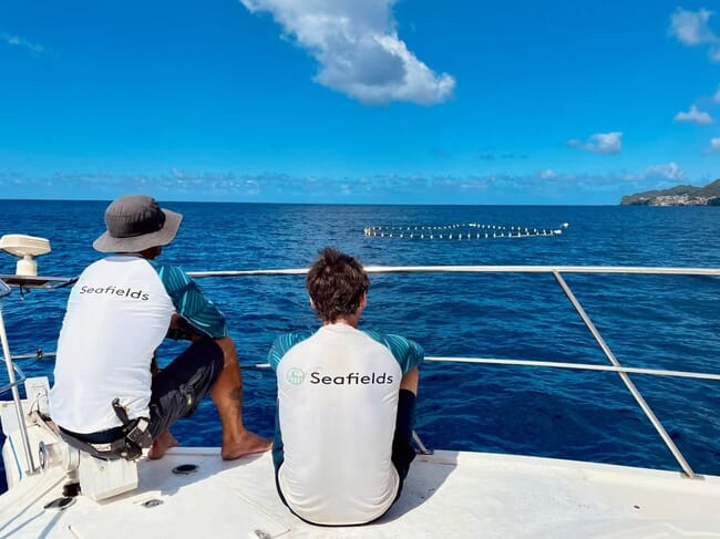 Dos personas sentadas en un barco mirando una red en el mar