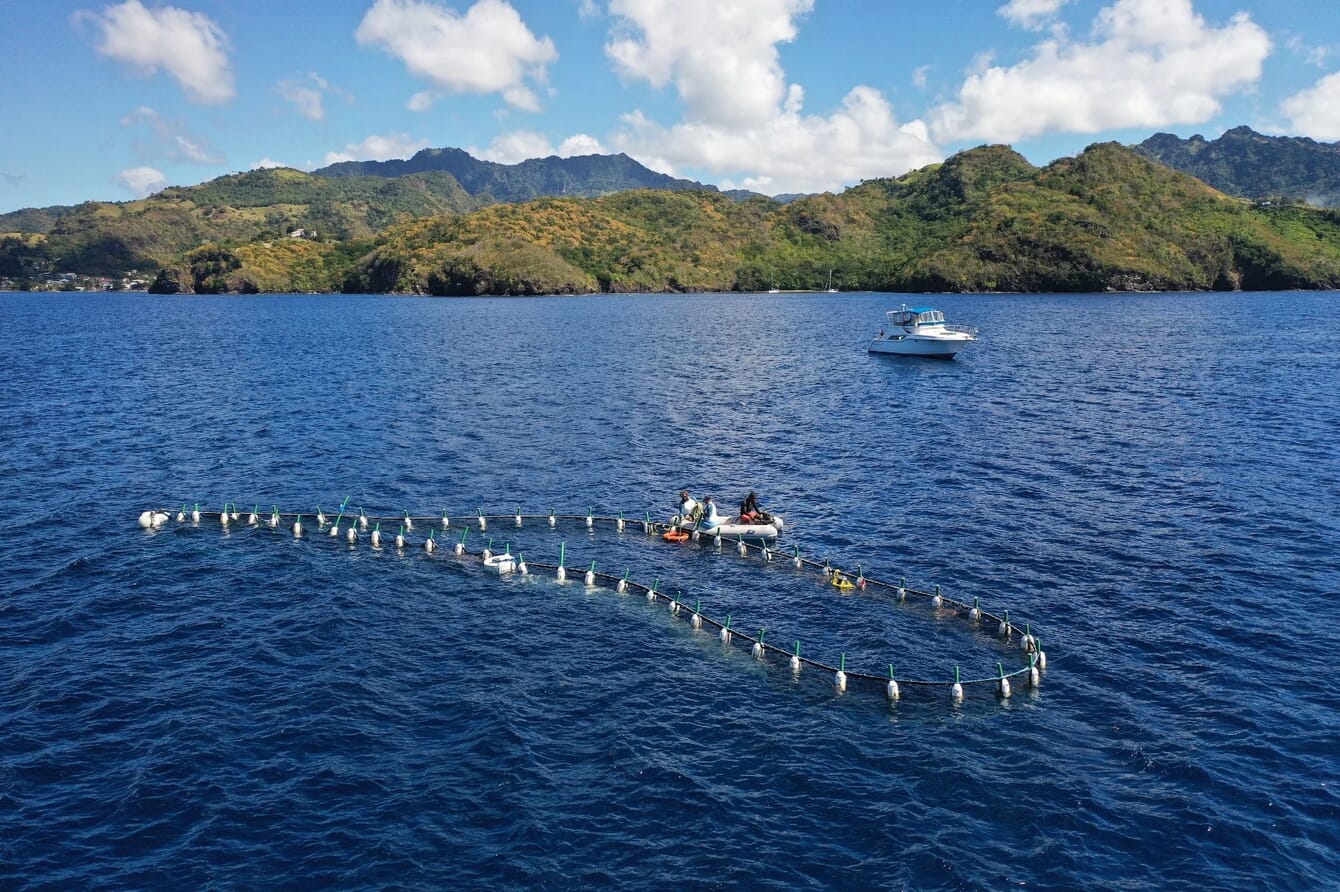 Olhando para baixo em uma rede de barreira de algas marinhas flutuando no mar