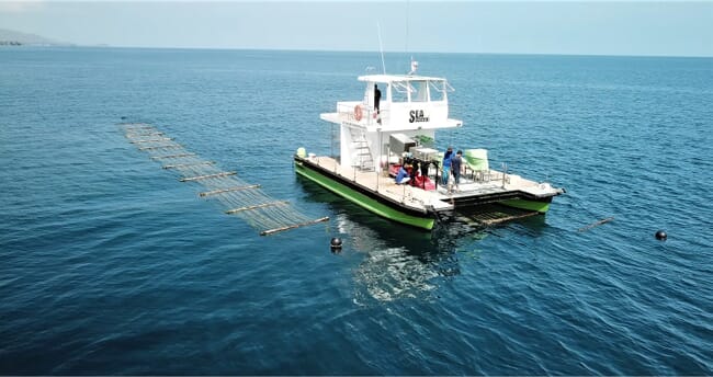 Uma embarcação projetada para a colheita de algas marinhas