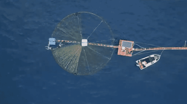 aerial view of a circular seaweed rig