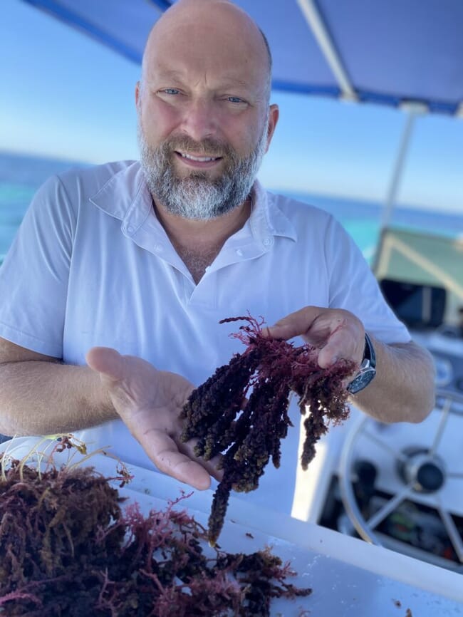 a man holding some seaweed