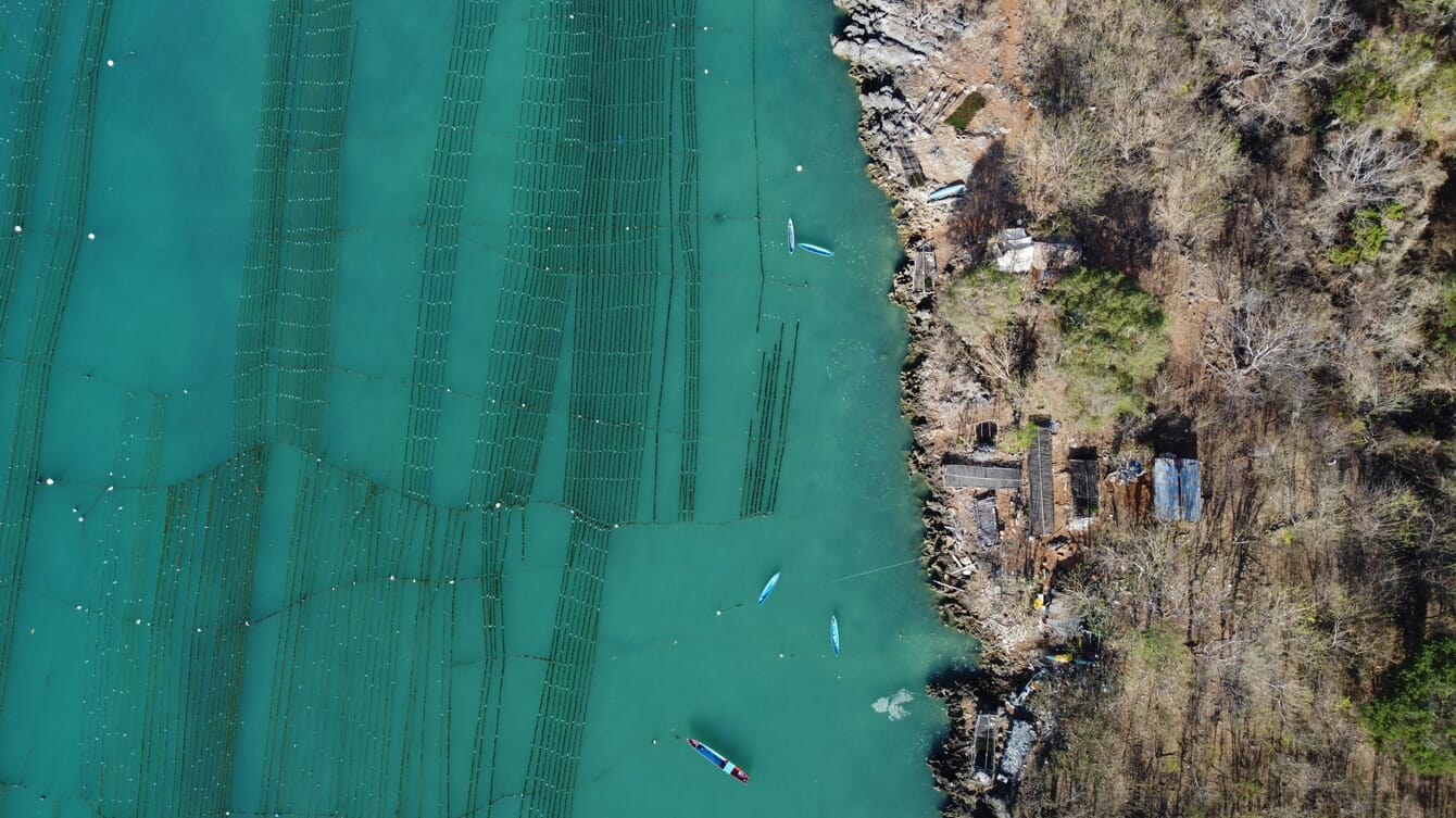 Vista aérea de uma fazenda de algas marinhas