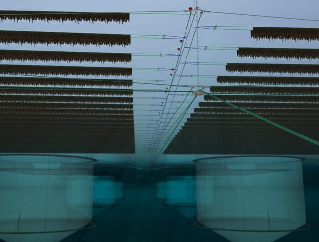 A diagram of a seaweed and fish farm.