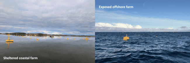 Some floats in the sea.