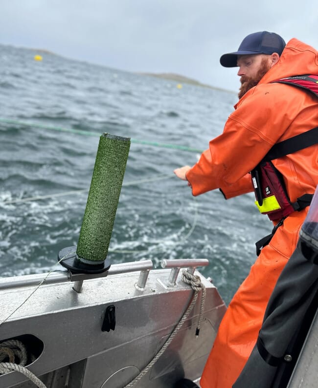 Person putting our seeded rope from a boat