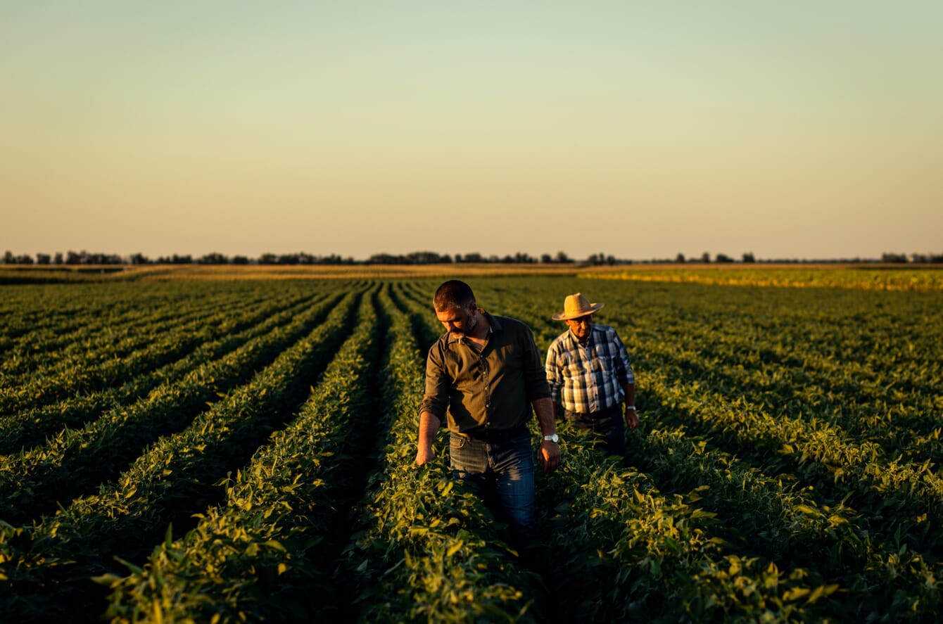 Two farmers in a field.