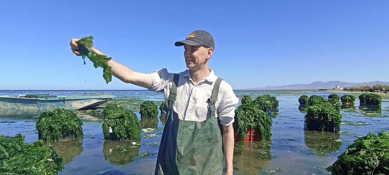 Hombre sosteniendo lechuga de mar