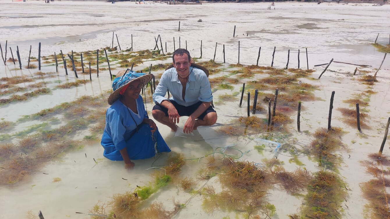Homem e mulher agachados em águas rasas em uma fazenda de algas marinhas