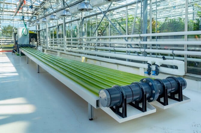indoor algae bioreactor