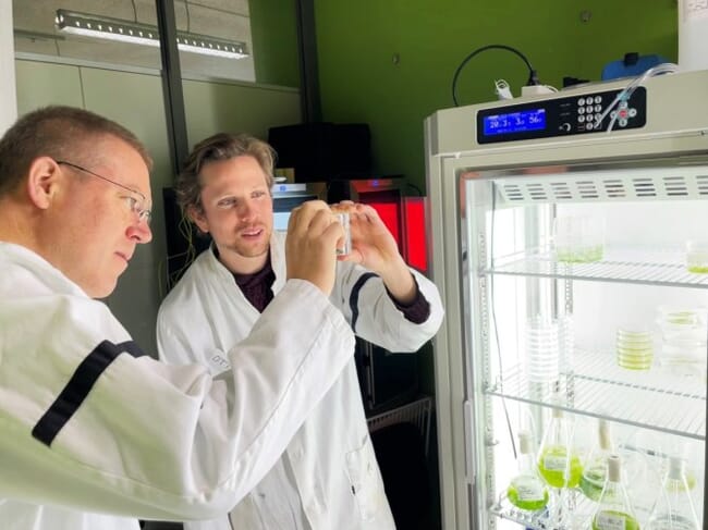 two researchers inspecting an algae sample