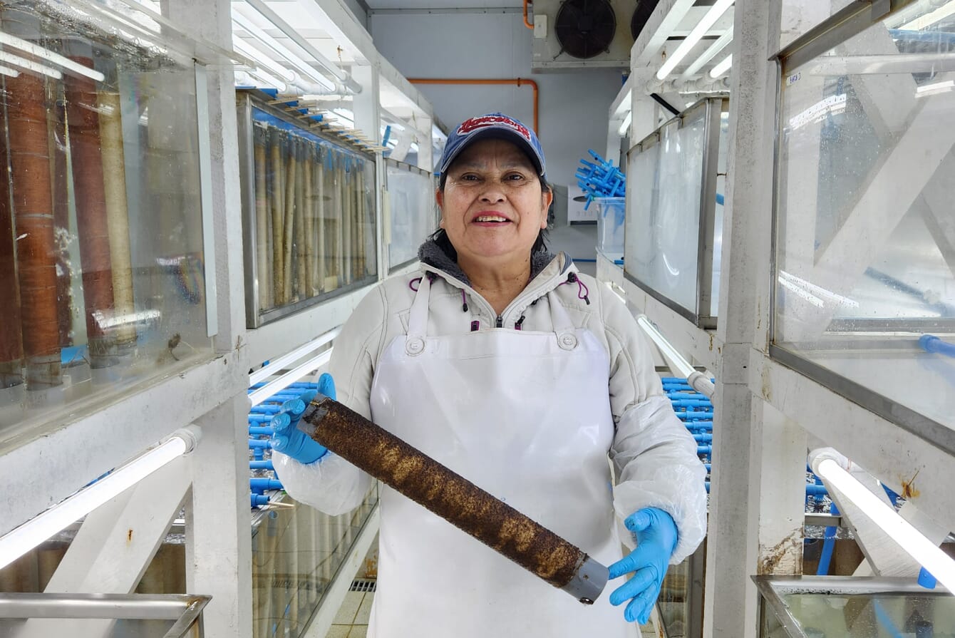 A seaweed hatchery technitian holding seeded twine.