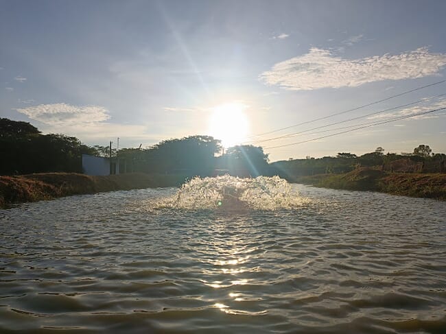 A pond with an aerator in the centre at sunset.