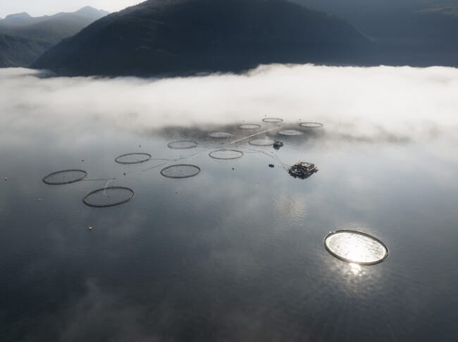 Aerial view of a fish farm.