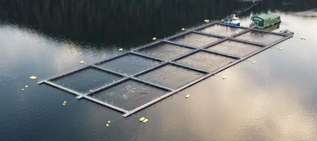 aerial view of a salmon farm